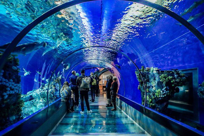 Antalya Akvaryum & Müze Turu – Deniz Altı ve Tarih Yolculuğu