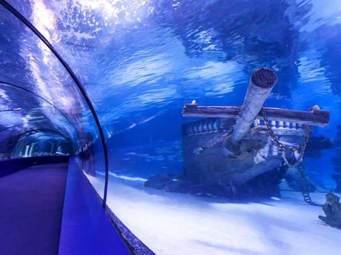 Antalya Akvaryum & Müze Turu – Deniz Altı ve Tarih Yolculuğu