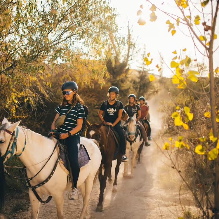 Gün Batımı At Turu