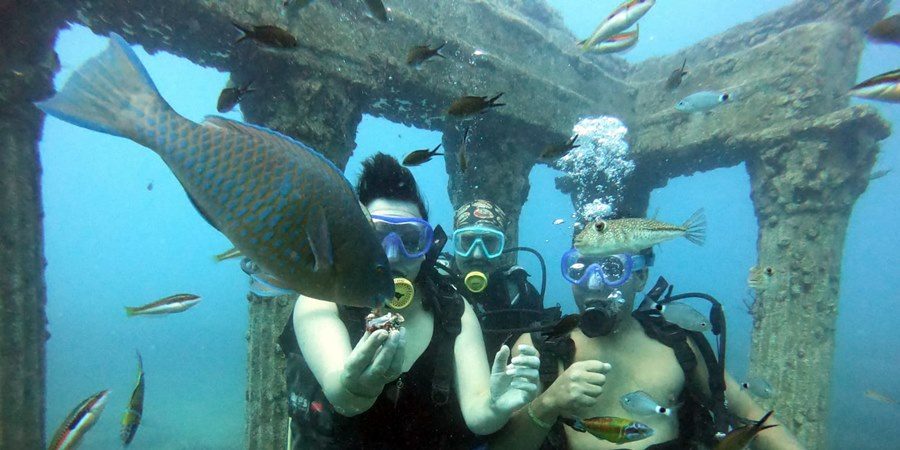Side Scuba Diving Turu – Akdeniz’in Gizemli Sualtı Dünyasını Keşfedin