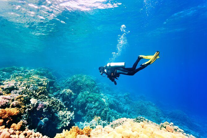 Side Scuba Diving Turu – Akdeniz’in Gizemli Sualtı Dünyasını Keşfedin