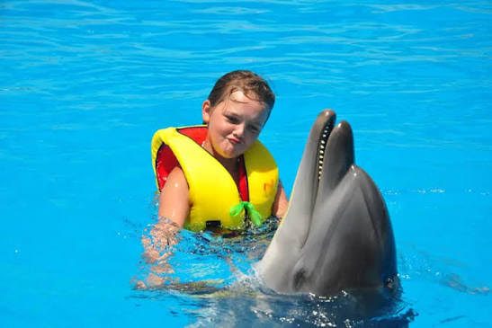 Yunus Balıkları Gösterisi Turu 🐬