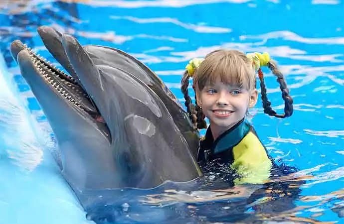 Yunus Balıkları Gösterisi Turu 🐬